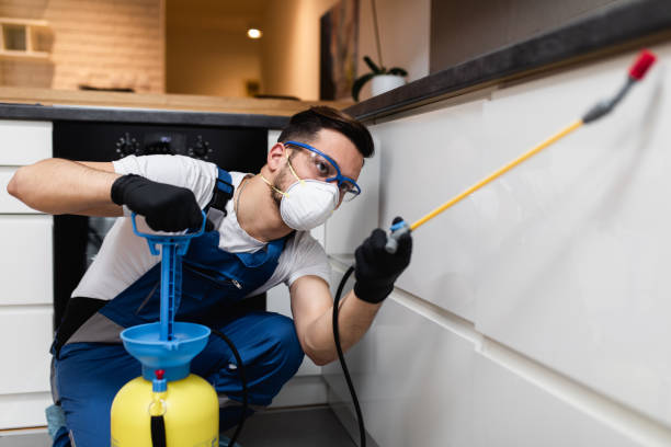 Best Pest Control for Businesses  in Hagerman, ID