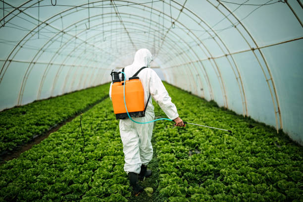 Best Pest Prevention Services  in Hagerman, ID