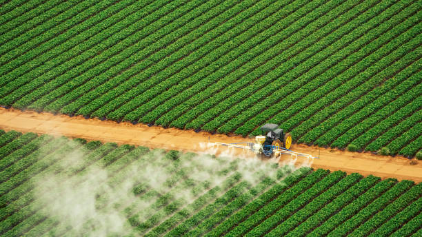 Best Pest Control for Businesses  in Hagerman, ID