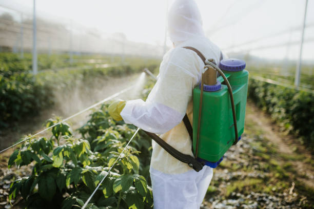 Best Affordable Pest Control Services  in Hagerman, ID